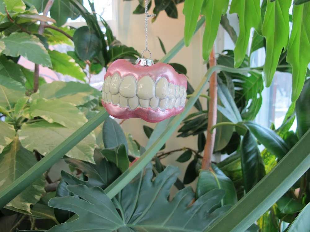 Bannockburn Dental Group: Dr. Andrew P. Wyshnytzky, DDS Picture 2