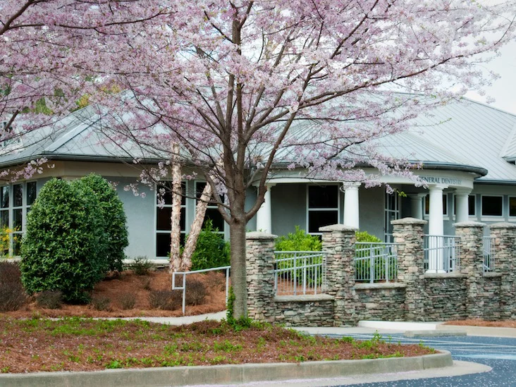 Vassey Dental Partners Picture 9