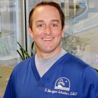 Dr. E. Morgan Scheiber/Dentist/Consultant ico