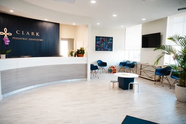 Clark Pediatric Dentistry Picture 3