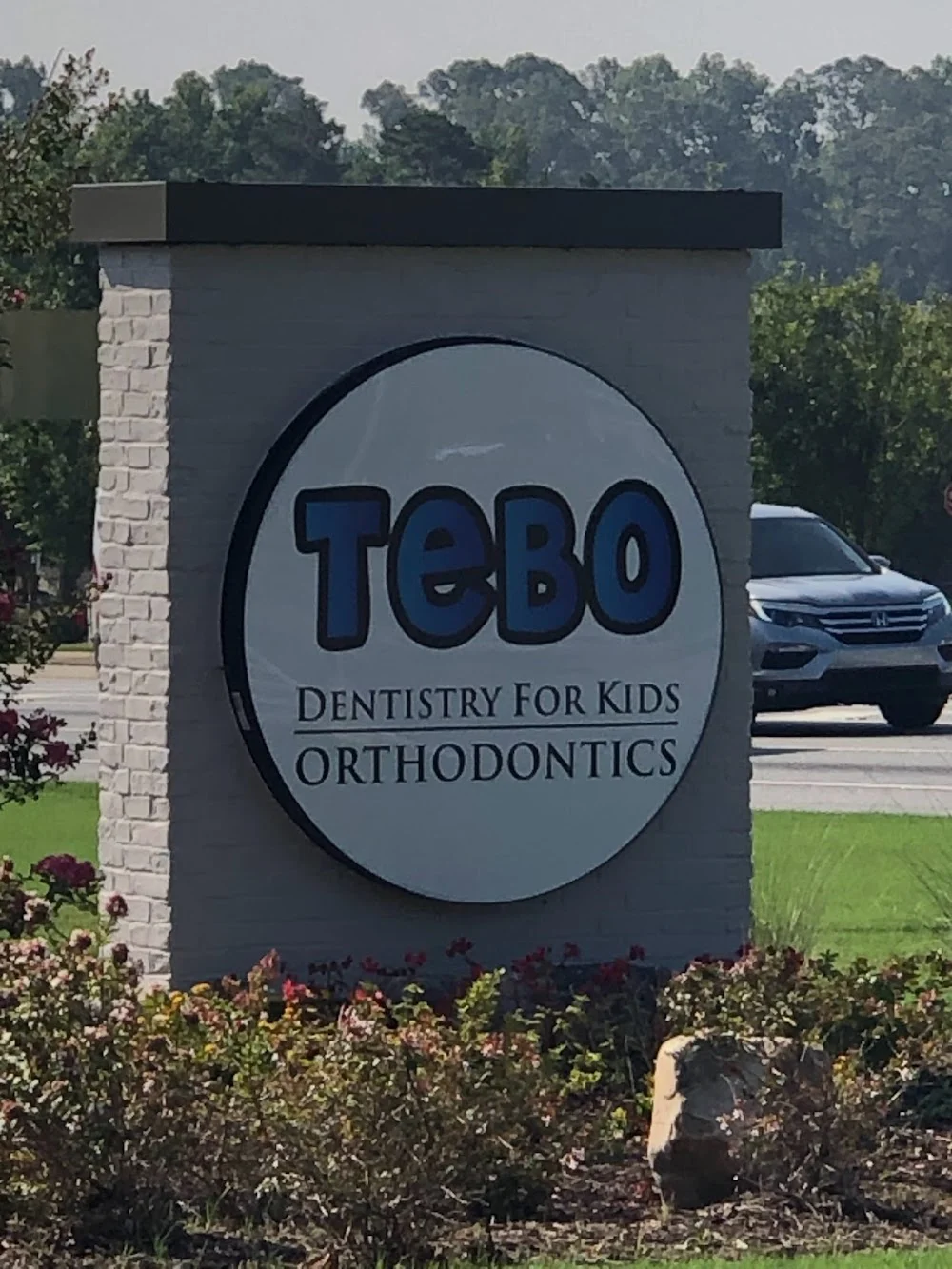 Tebo Dentistry For Kids Cumming Picture 4
