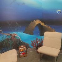 Doctor Lenz DDS Gentle Family Restorative Dentistry ico