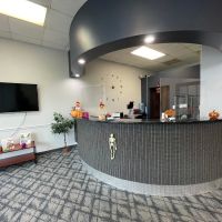 Ashton Dental ico