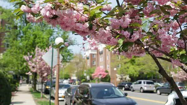 Bronxville Dental Care: Jenny A. Kanganis, DDS Picture 1