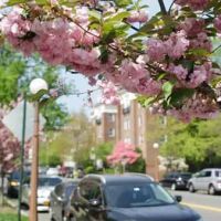 Bronxville Dental Care: Jenny A. Kanganis, DDS ico