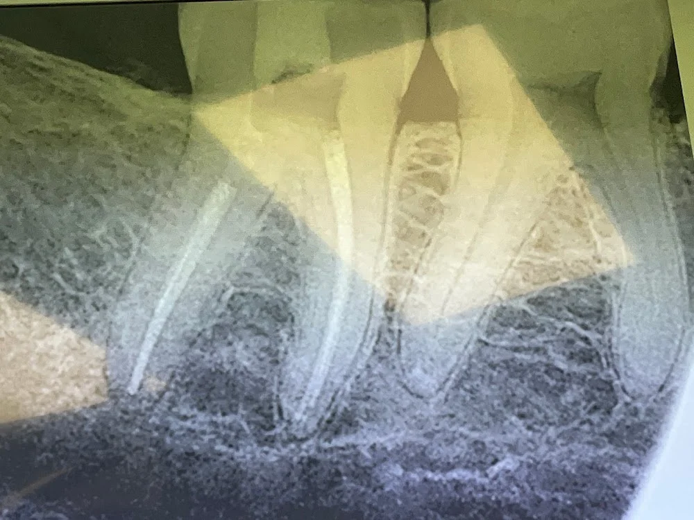 Familia Dental Picture 6