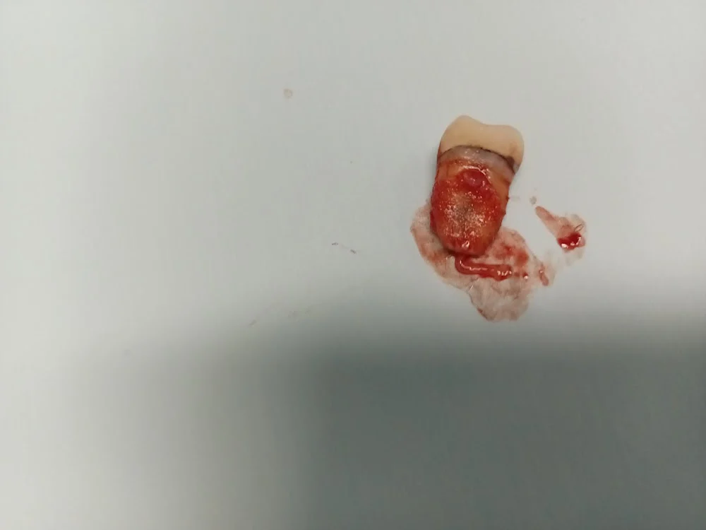 Willow Bend Dental Care Picture 4