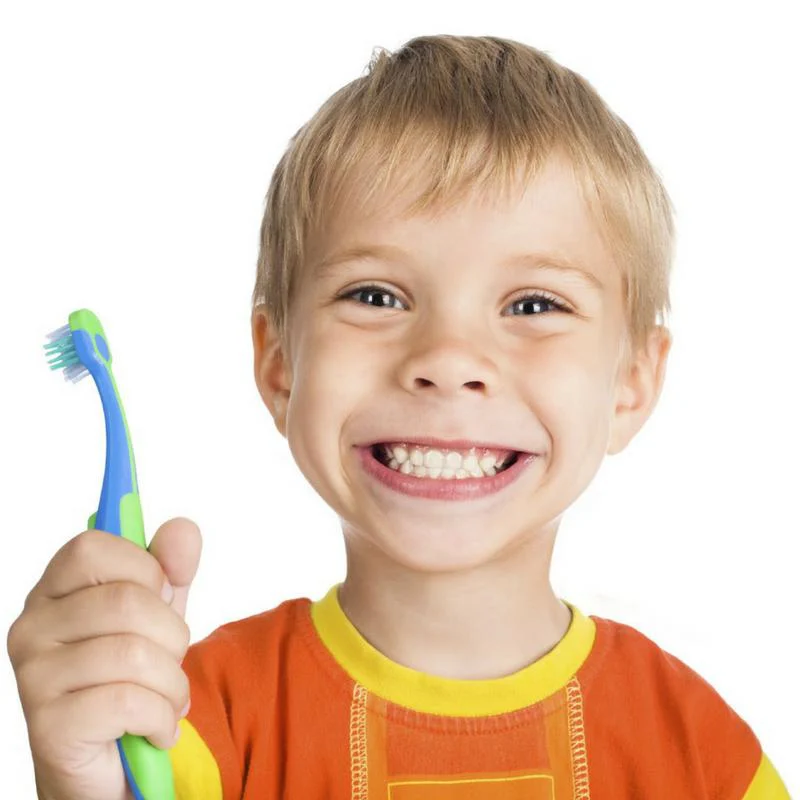 Morrison Dental Group - Midlothian Picture 2