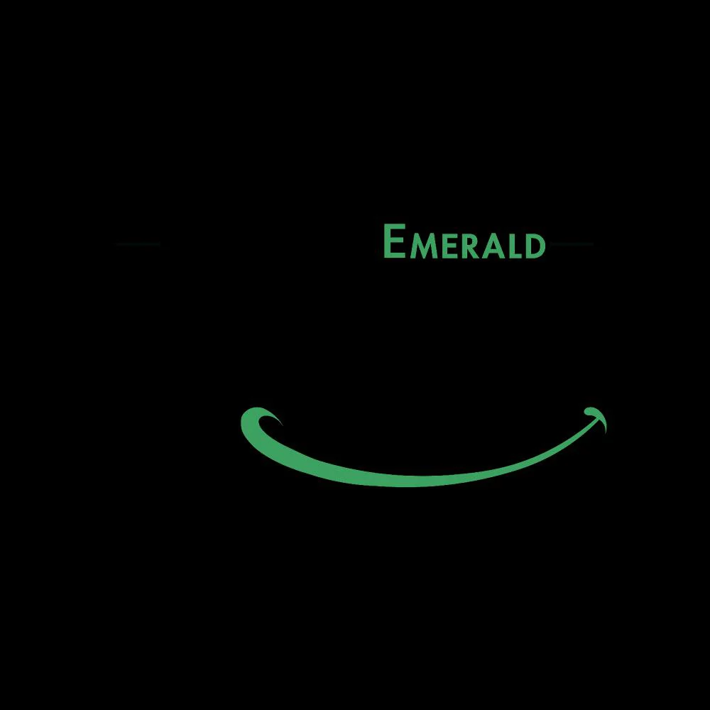 Advanced Emerald Dentistry- Puyallup Picture 10