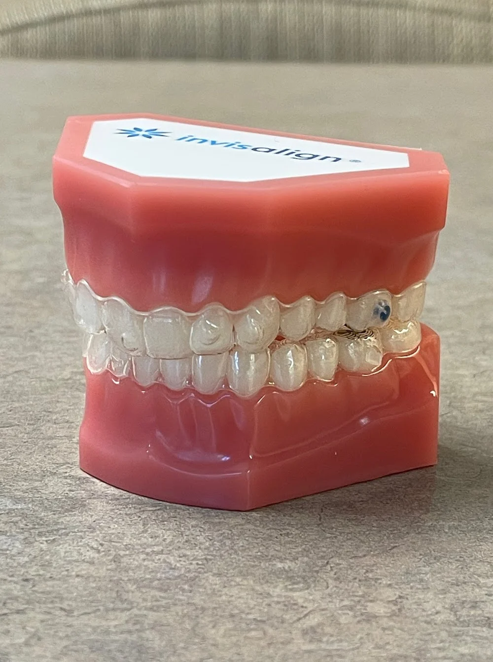 Proctor Braces Picture 5