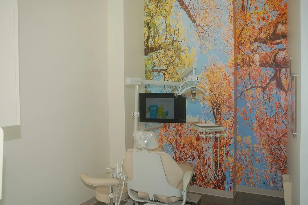 Olympic Modern Dentistry Picture 5