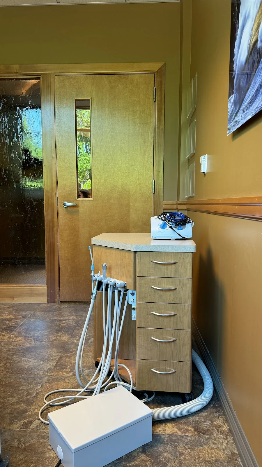 Silvia La Rosa, DDS Picture 6