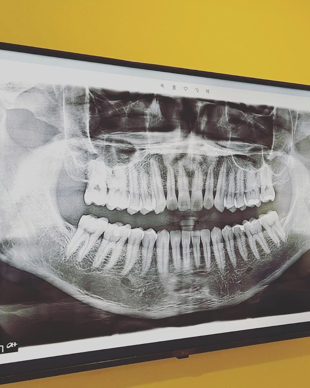 Bergen Dental Care at Dumont Picture 10
