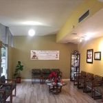 Parissa Djafari, DDS