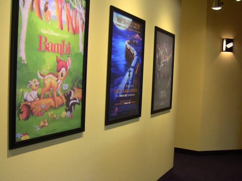 Sons & Daughters Orthodontics Riverside Picture 5