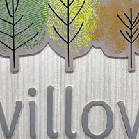 Willow Pediatric Dentistry ico