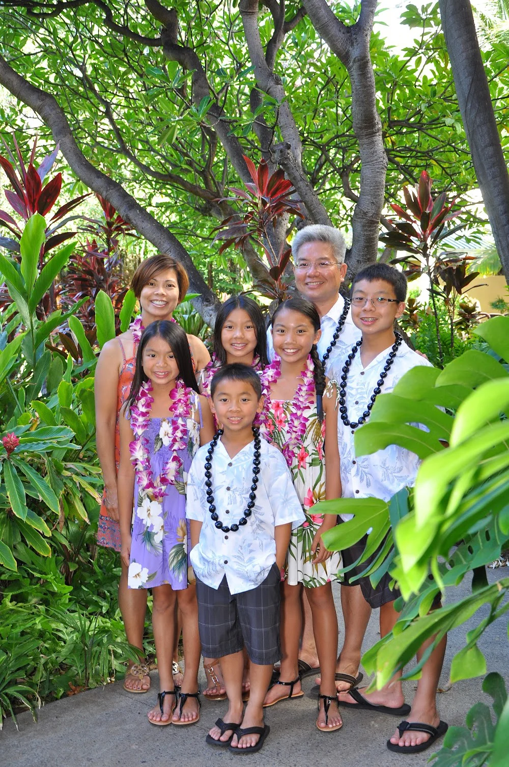 Nguyen Family Orthodontics Picture 7