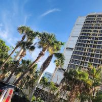 Gulfside Dental ico