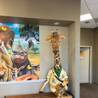 West Valley Pediatric Dentistry & Orthodontics ico