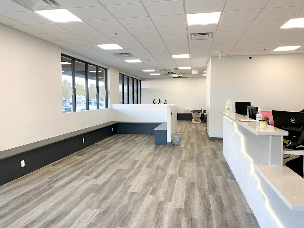 Somos Dental & Orthodontics - Avondale Picture 3