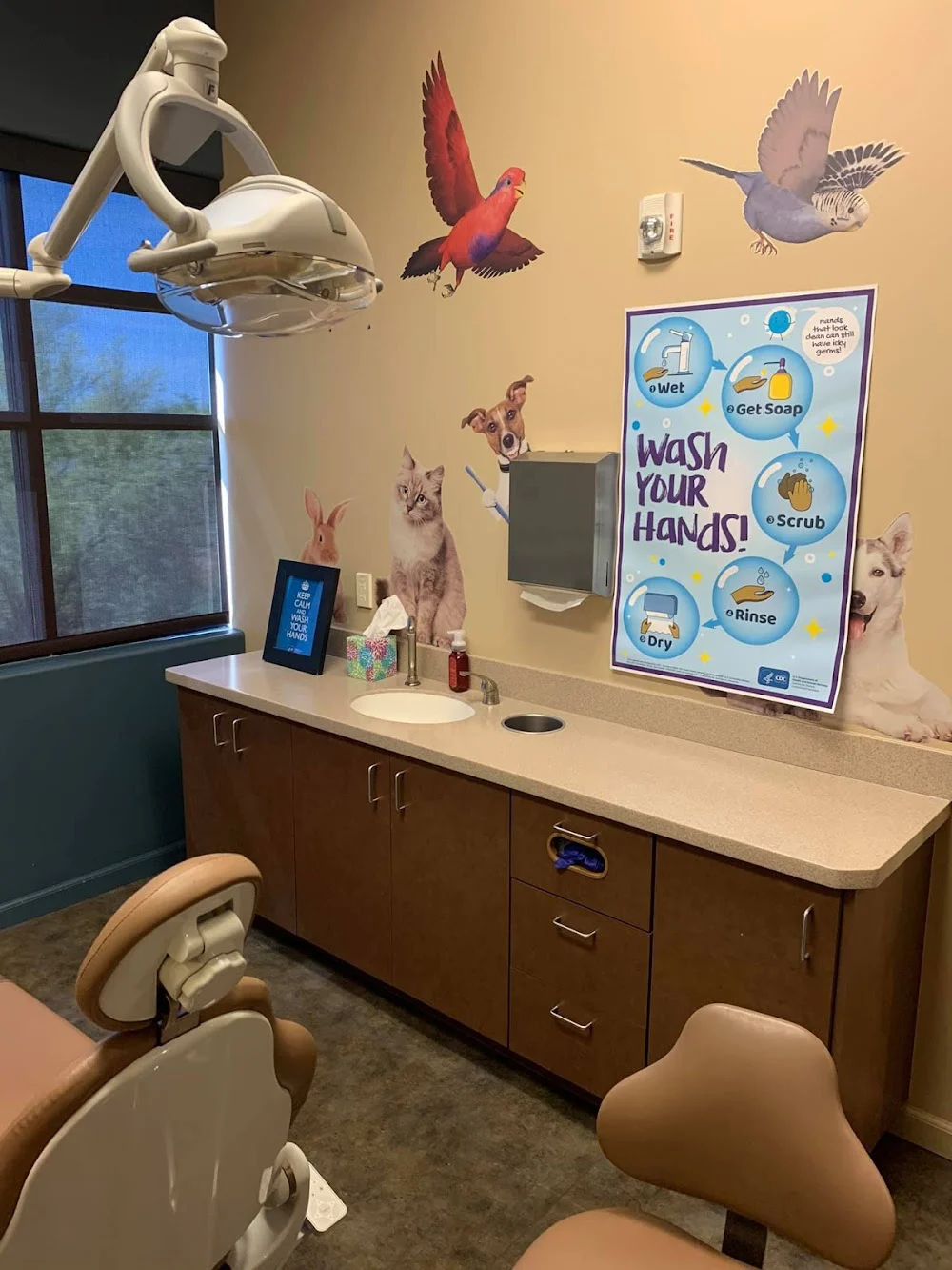 Pleasant Pediatric Dentistry Picture 2