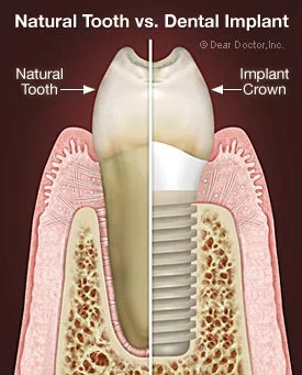 Whitman Dental Center Picture 6