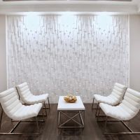 Blanc Dental Studio ico