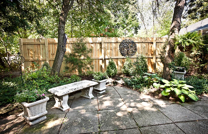 Wazio Orthodontics Picture 10