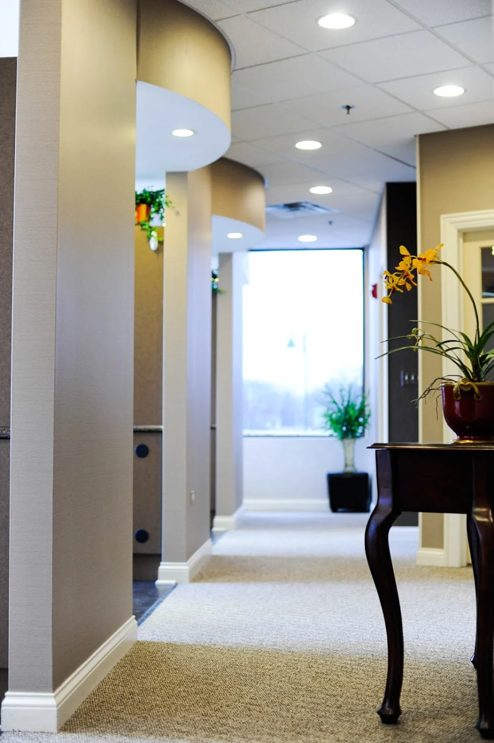 Manus Dental - Lake Zurich Picture 7