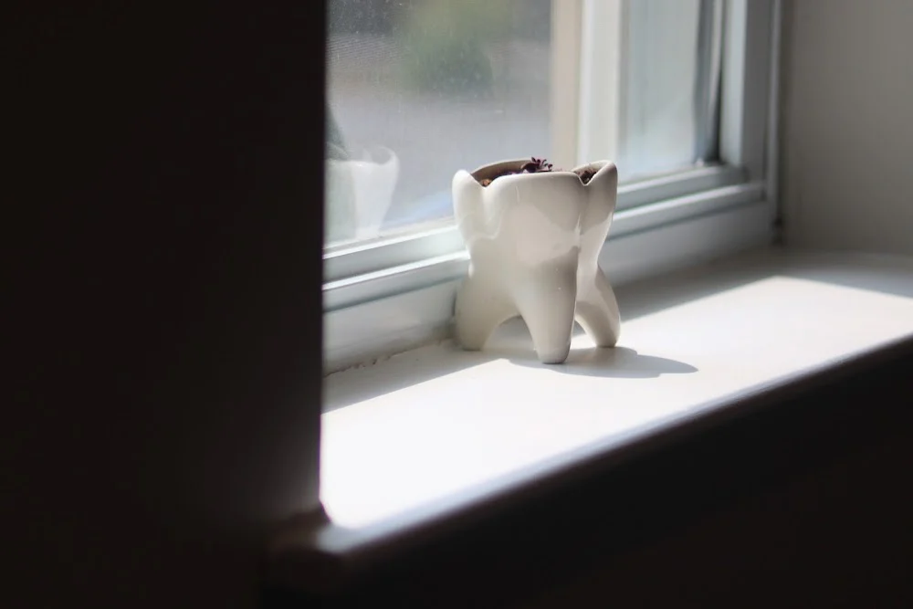 Young Dental Care - Dentist Aurora Picture 10