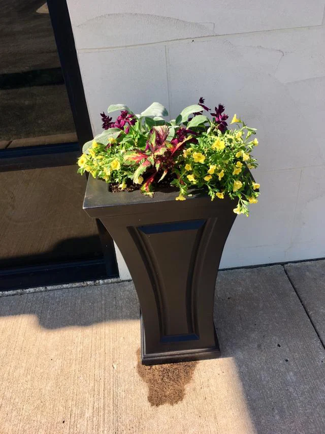 Oak Street Dental North Aurora Picture 7