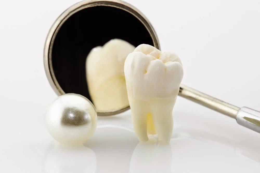 Katz Elan D DDS Picture 2