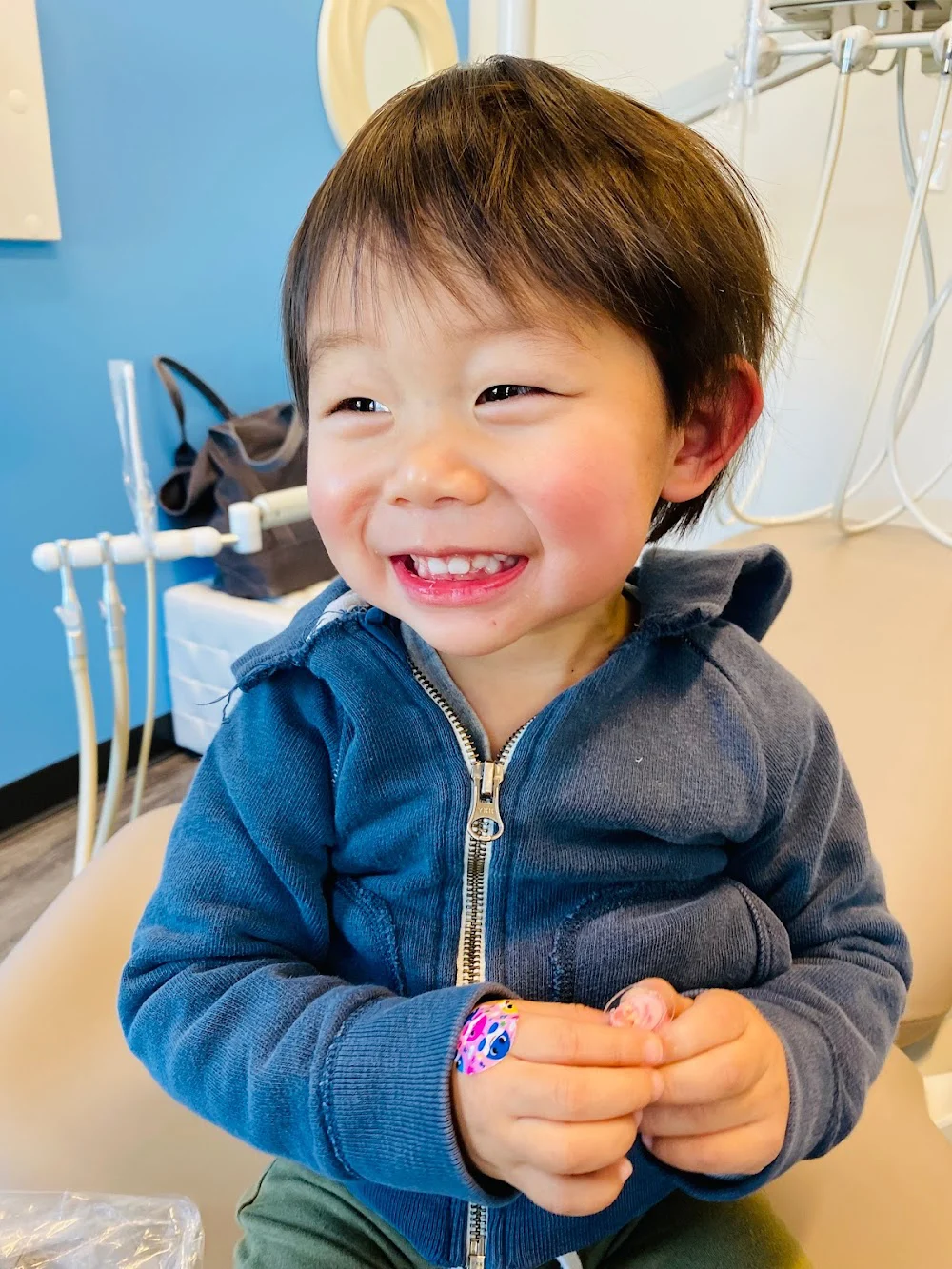 Dr. Bridget E. Ko, DMD Picture 8
