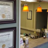 Oasis Dental Care ico