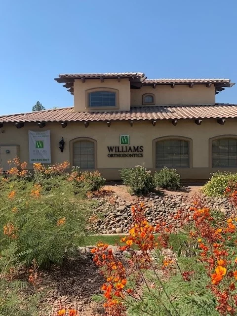Williams Orthodontics Picture 2
