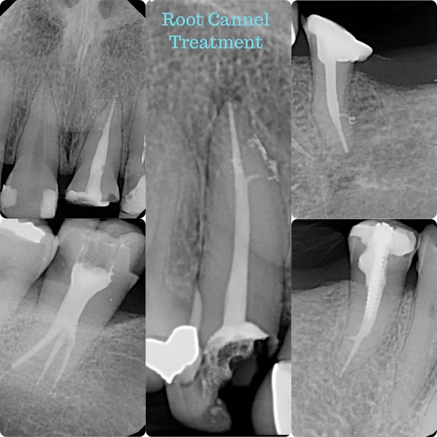 My OC Dental Care Picture 8