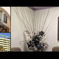 Nouhad Sami DDS ico