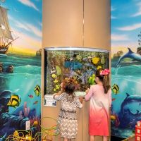 Westside Pediatric Dental and Orthodontic Group: Gross E Bernard DDS ico