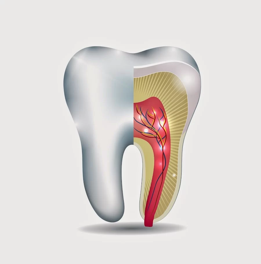 JB Dentistry Picture 8