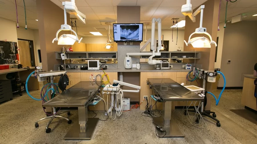 Oregon Veterinary Dental Specialists Picture 4
