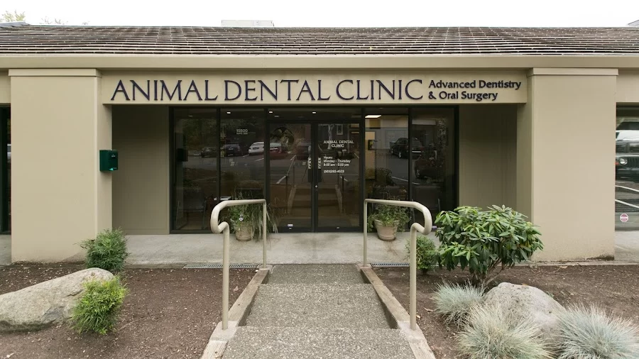 Oregon Veterinary Dental Specialists Picture 6