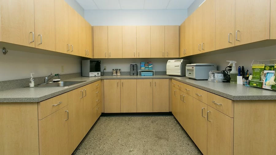 Oregon Veterinary Dental Specialists Picture 2