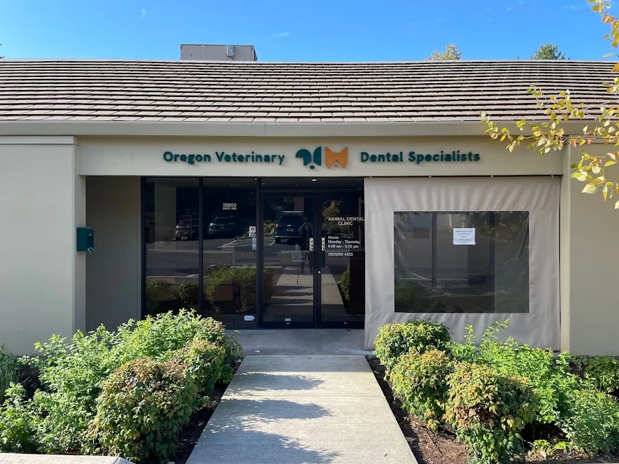 Oregon Veterinary Dental Specialists Picture 8
