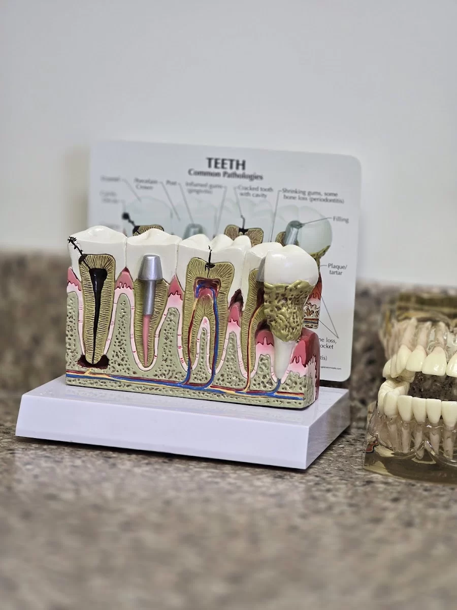 Premier Dental & Implants Picture 9