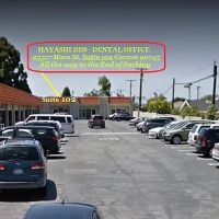 Hayashi DDS ico