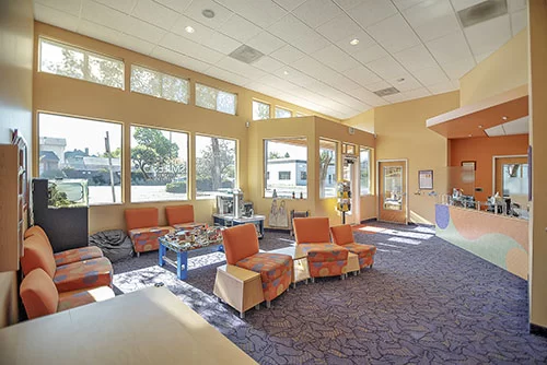 Little Smiles Pediatric Dentistry Picture 3