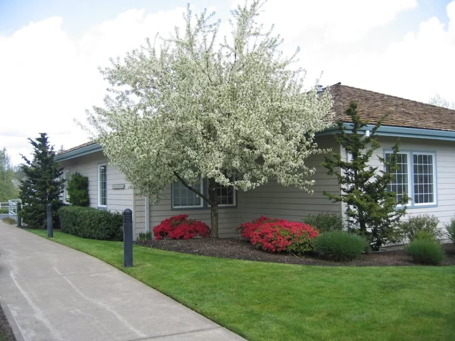 Hillside Dental Care Picture 4