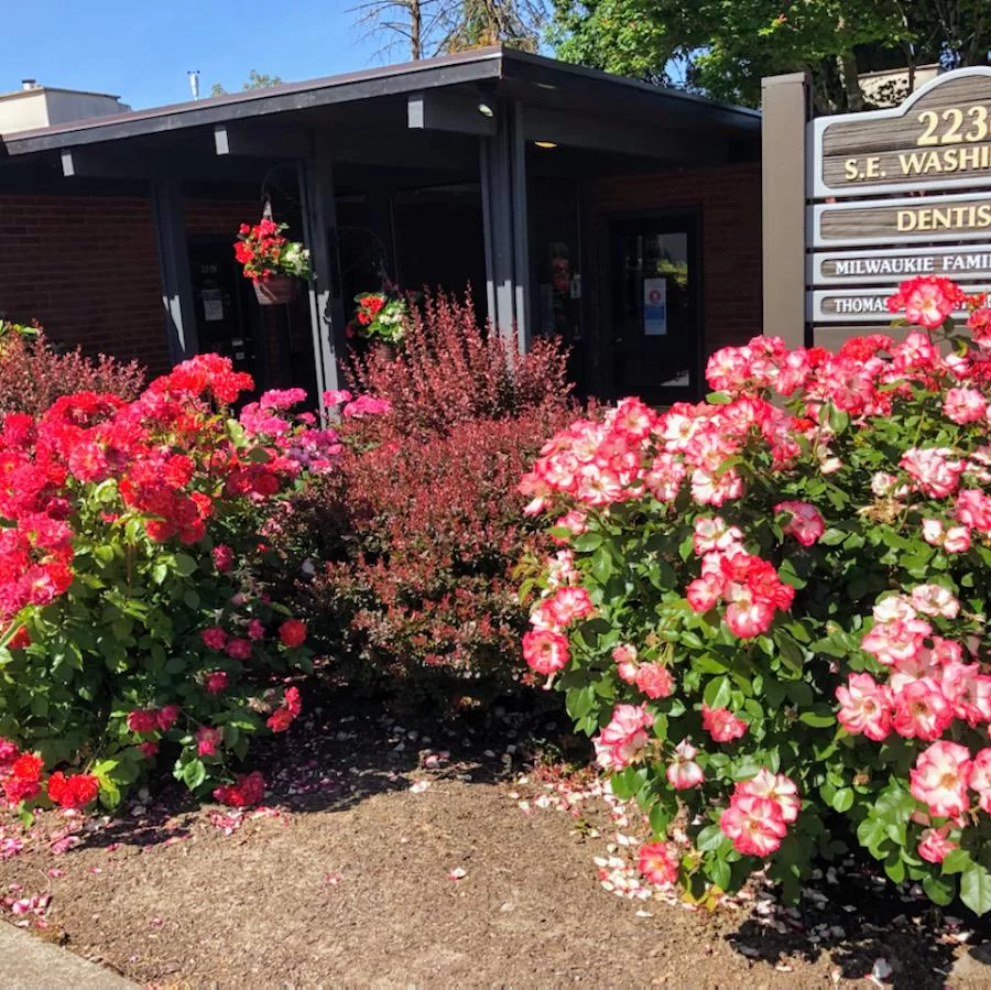 Milwaukie Family Dentistry , Thomas Bachhuber Jr DMD Picture 3