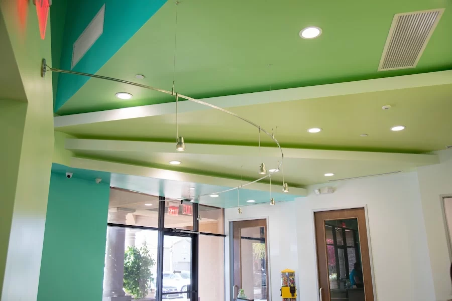 Bloom Pediatric Dentistry PLLC Picture 1