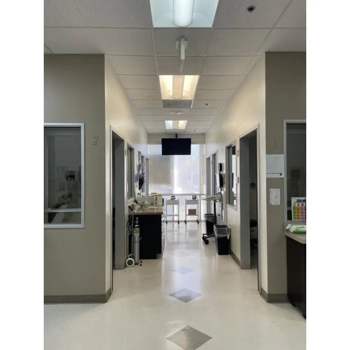 Western Dental & Orthodontics Picture 1